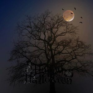 Meet your Posher, George